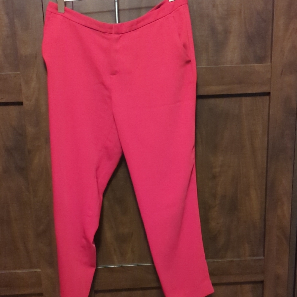 Banana Republic Vibrant Pink Pants
